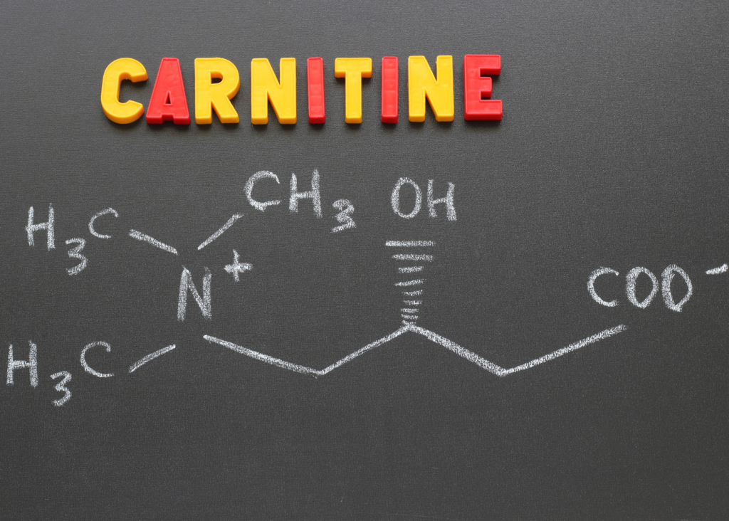 Vital Science L-Carnitine
